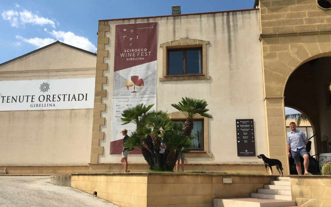 Visit of the winery in Sicily – Gibellina